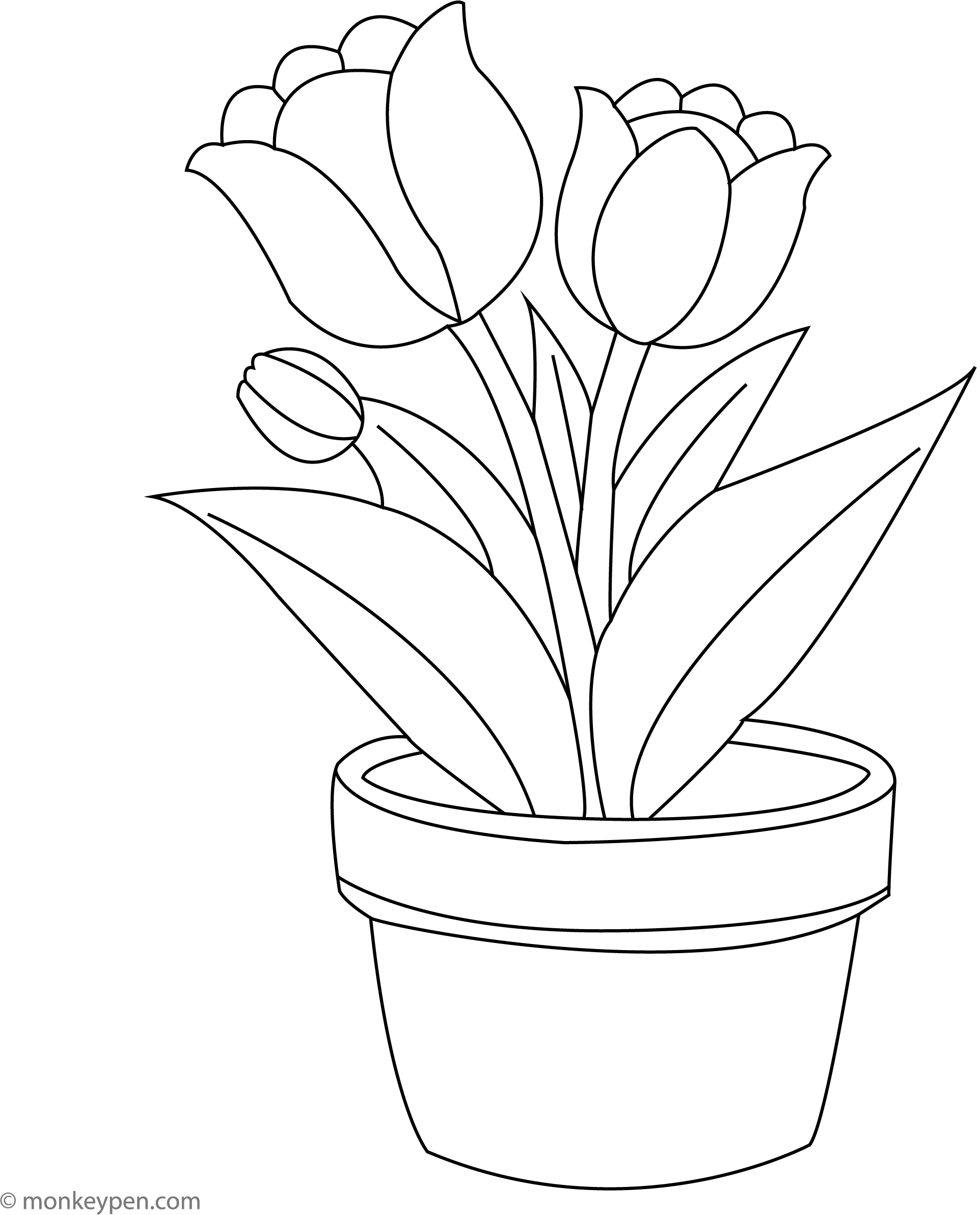 plant pot coloring Tulips in a Flower Pot