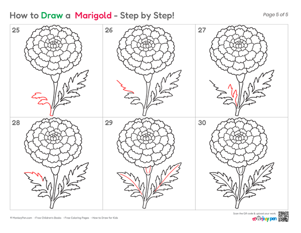 How to Draw a Marigold – Simple Step-by-Step Flower Drawing for Kids