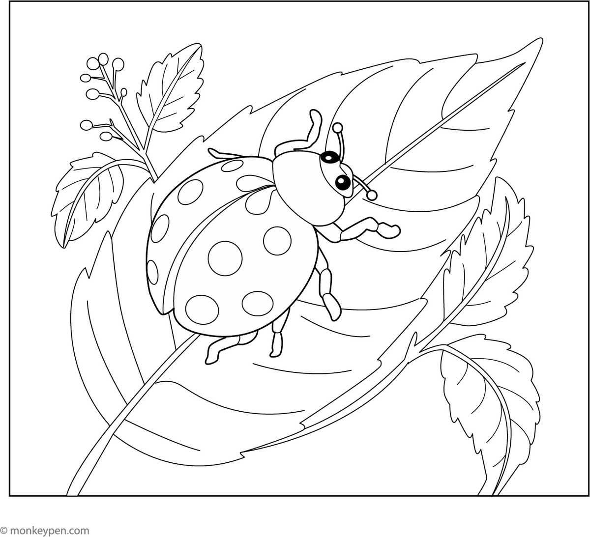 Ladybug on a Leaf | Creative Fun with Free Coloring Pages