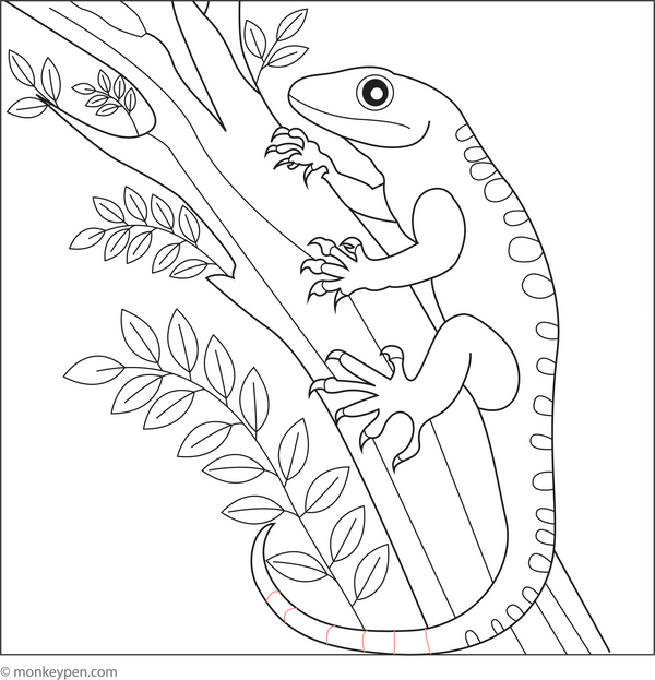 Lizard Climbing a Tree | Free Coloring Page