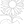 Sunflower Growing from a Cracked Seed Coloring Page