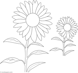 Simple Sunflower coloring Pge