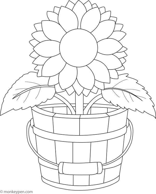 Sunflower in a Wooden Bucket Coloring Page
