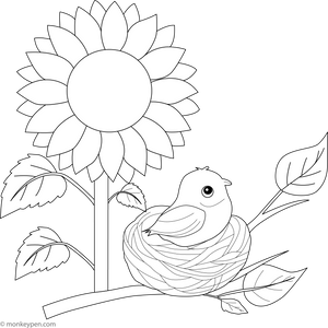 Sunflower and a Nesting Bird Coloring Page