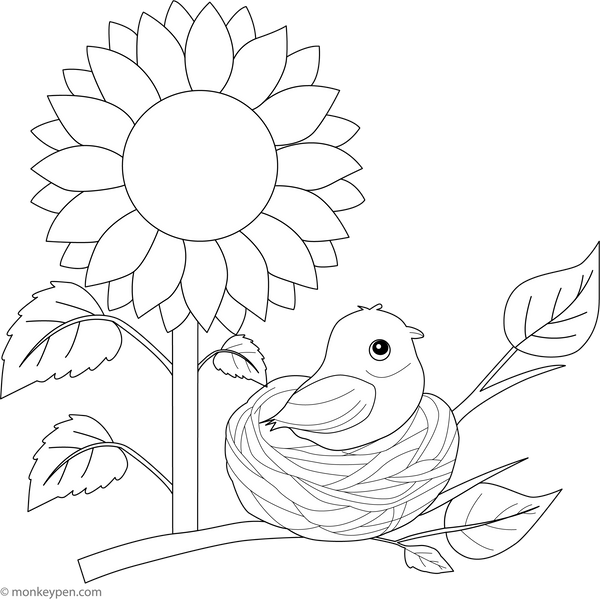 Sunflower and a Nesting Bird Coloring Page