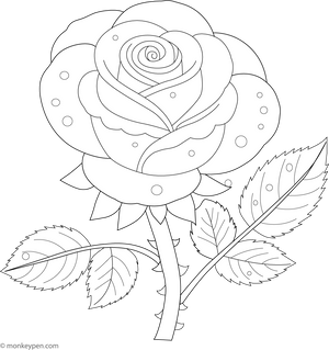 Rose with a Tiny Dewdrop Colouring Page