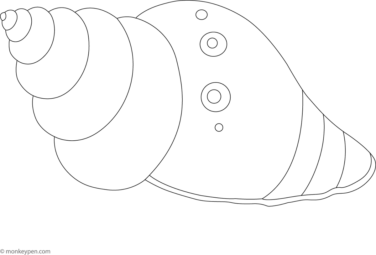 Sea Shell Colour In Seashell – Free Beach-Themed Coloring Page for Kids