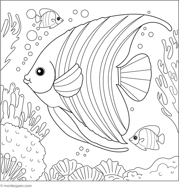 Printable  Altum Angelfish Coloring Page