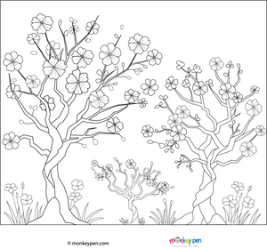 Cherry Blossom Coloring Page