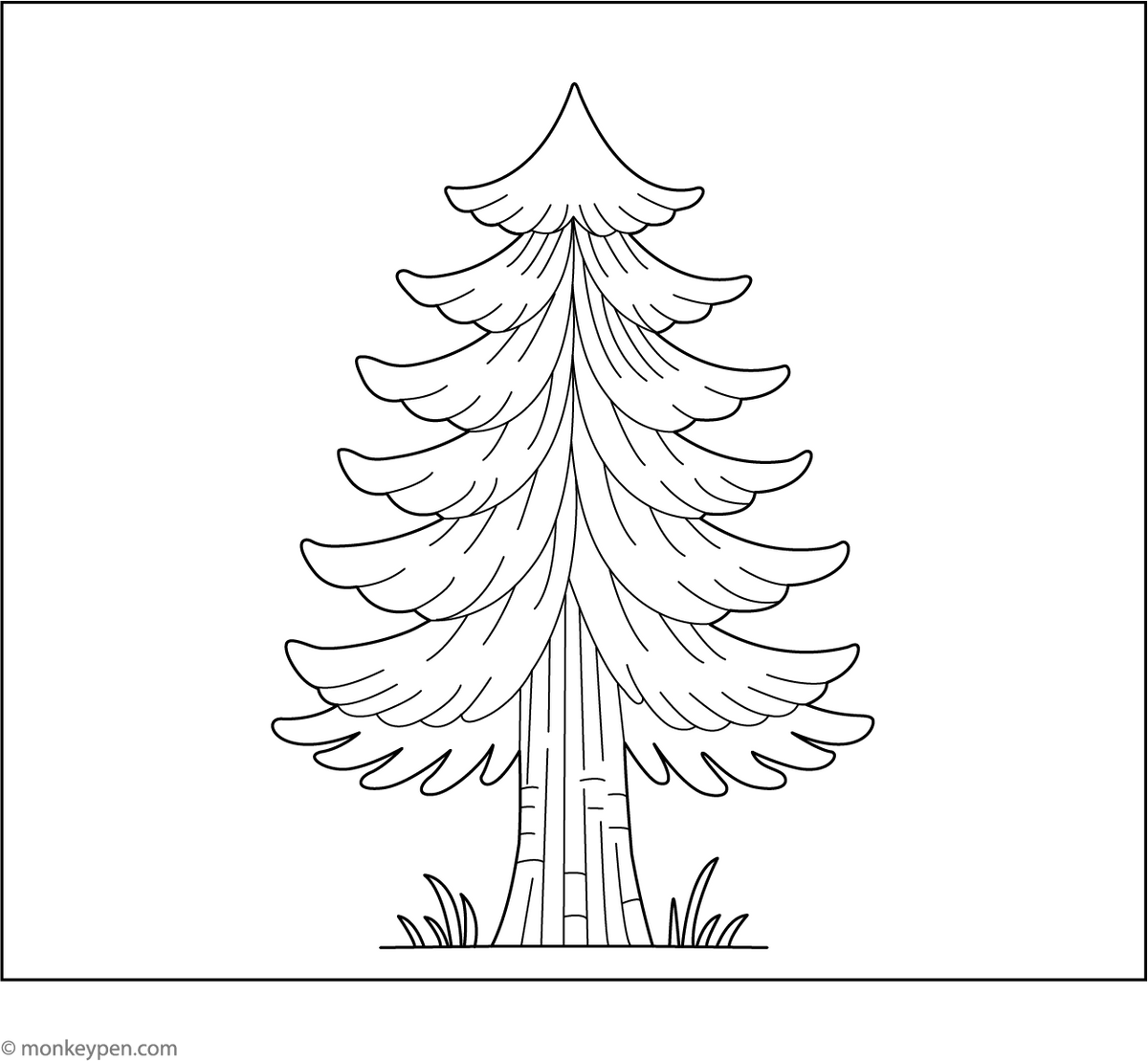Pine Tree Coloring Page
