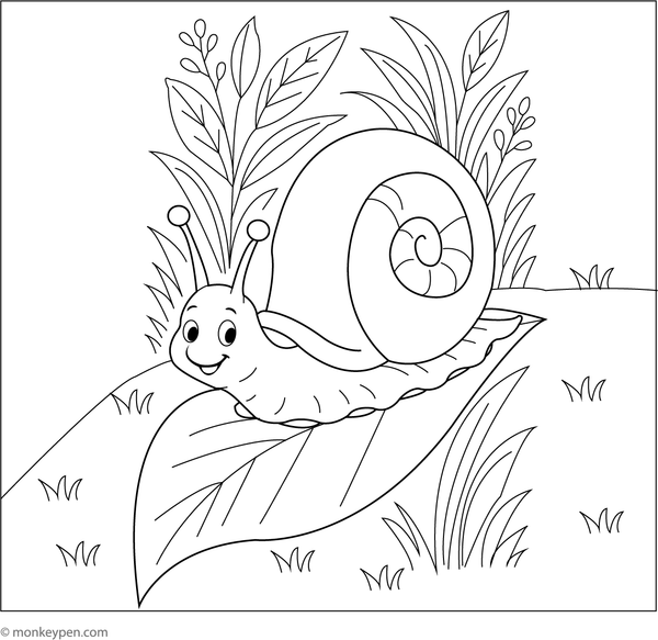 Printable Snail Crawling Through Spring Leaves Coloring Picture For Children