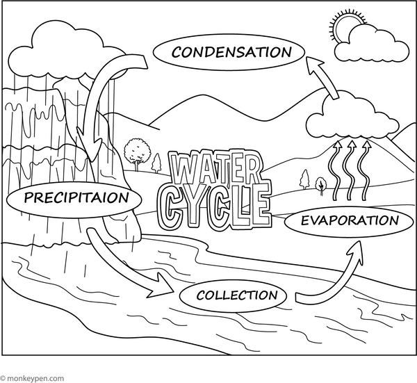 Water Cycle Coloring Page
