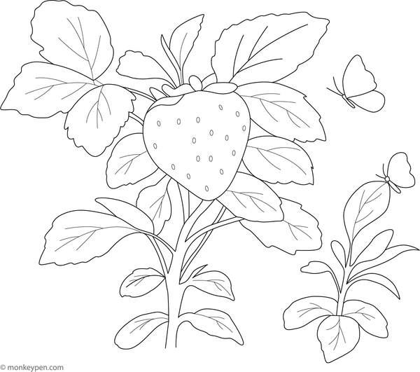 Strawberry with a butterfly perched on top, surrounded by natural elements, prepared for colouring.
