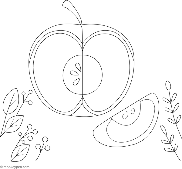 Sliced apple revealing seeds in the center, prepared for coloring.
