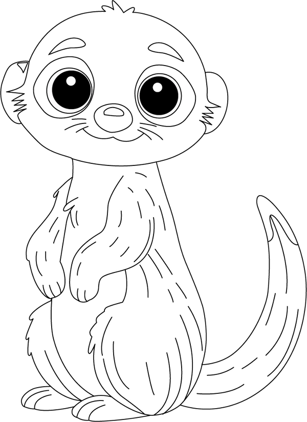 Meerkat coloring page – fun and educational printable for children
