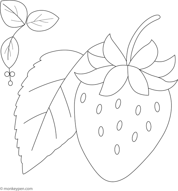 Strawberry with a leaf and stem, ready for colouring.
