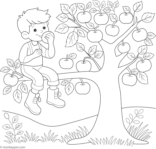 Illustration of a boy seated on an apple tree branch, surrounded by apples and leaves, ready for coloring.
