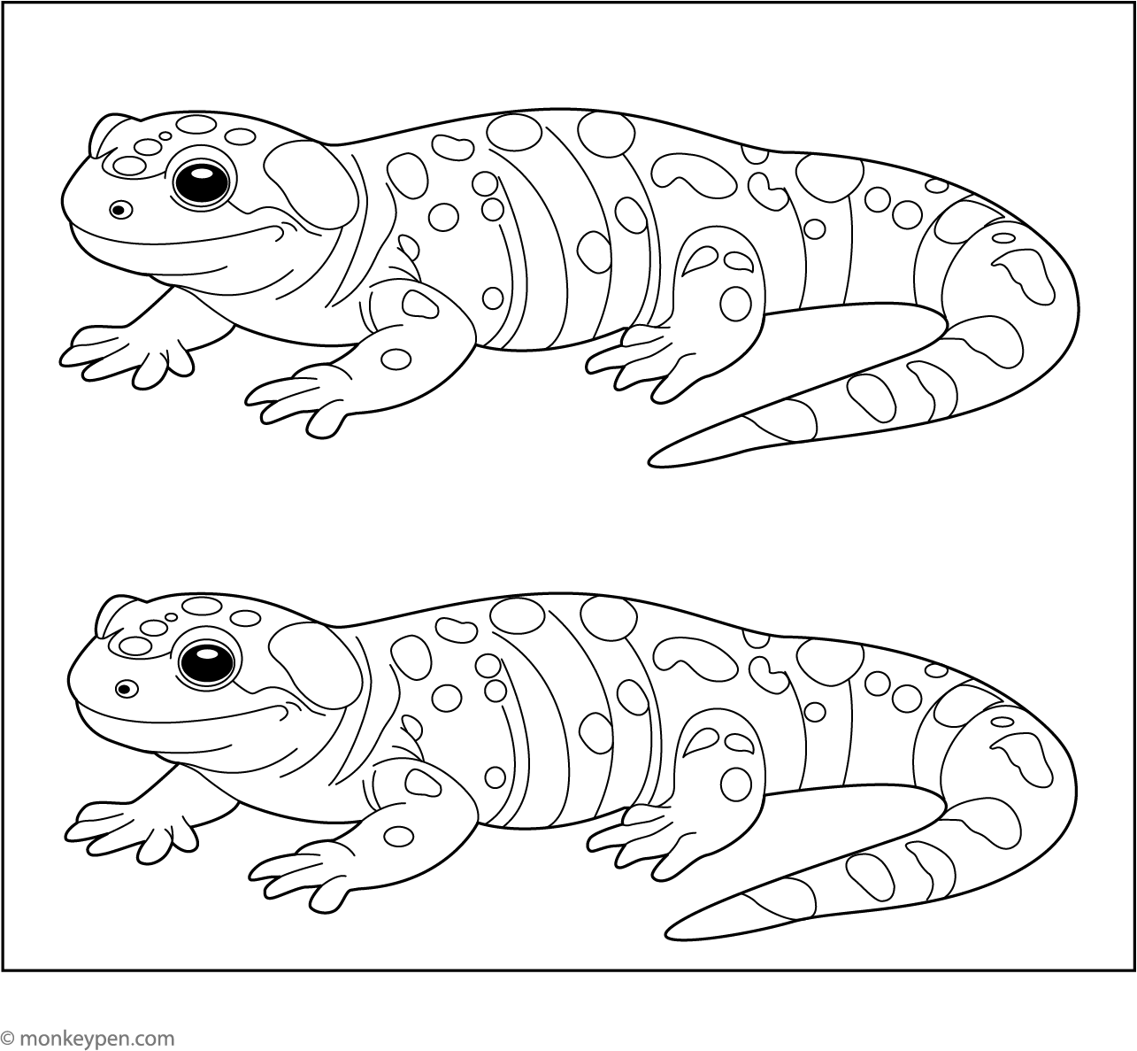 salamander-coloring-page for Free Printable Pictures Of Amphibians Salamander Coloring Page for Free Printable Pictures Of Amphibians