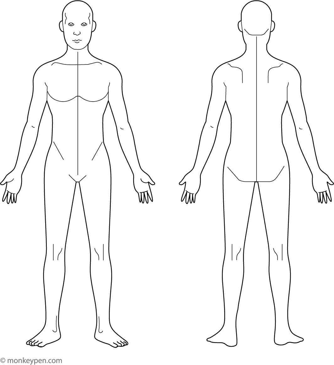 Human Body Colouring Sheet
