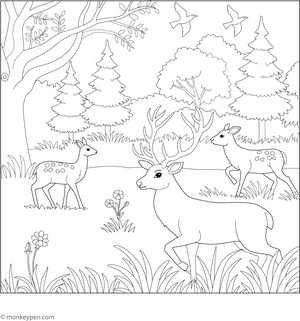 Wildlife Reserves Coloring Page