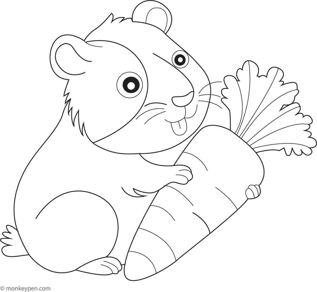 Gallery Detail: Guinea Pig Munching On A Carrot