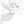 Parrot Coloring Book