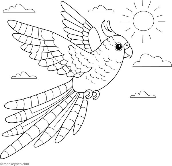  Action-packed Coloring page of a flying parakeet with outstretched wings, a fun printable for bird lovers.