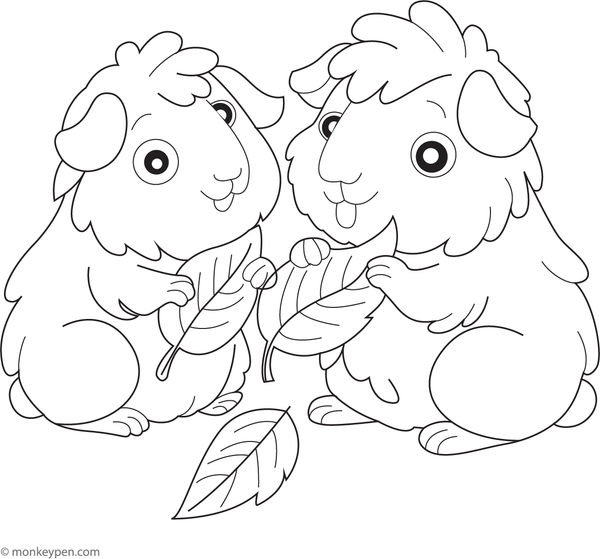 Printable guinea pig and a friend coloring image for kids