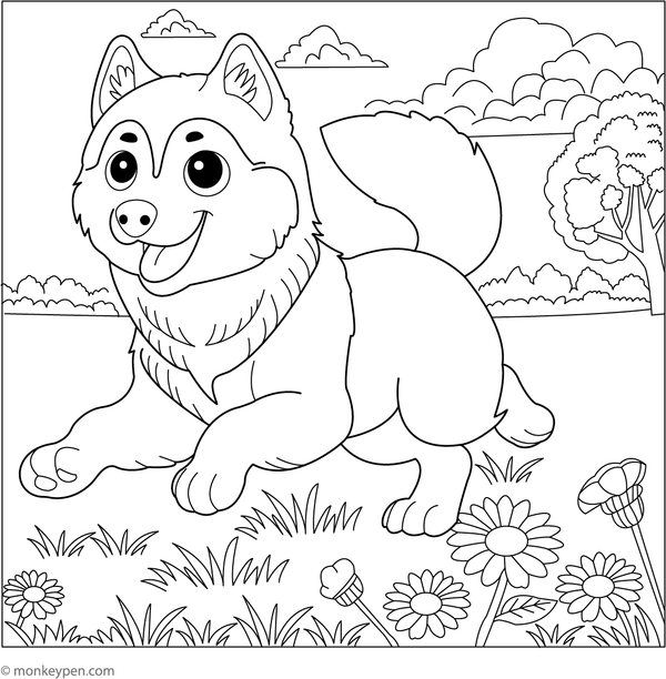 Husky running freely in an open field, with flowers, grass, and motion lines to enhance the coloring experience.