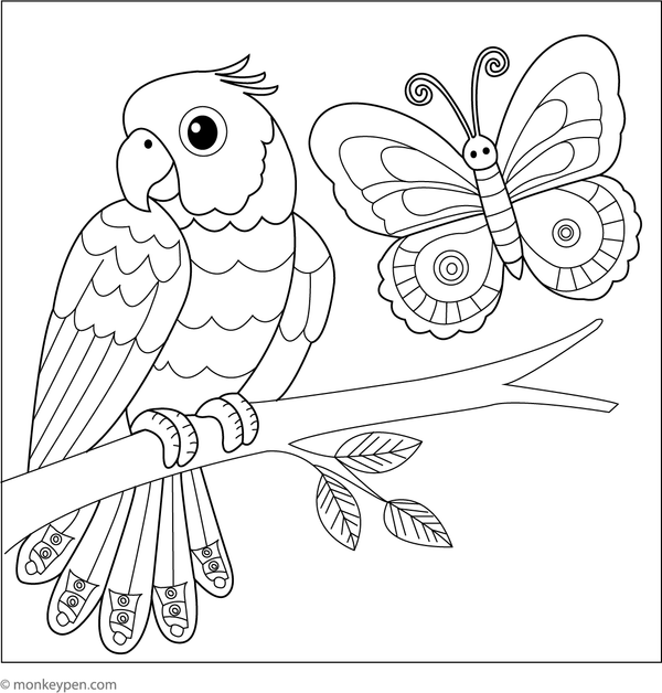 Adorable parrot and butterfly coloring page, showcasing friendship in a fun and creative jungle setting.
