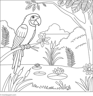  Colouring sheet featuring a parrot near a jungle pond with lily pads and frogs, a peaceful nature-themed activity.
