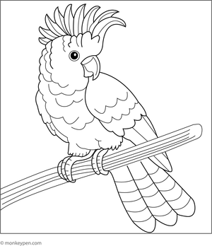 Detailed colouring page of a cockatoo with its fancy crest feathers, a beautiful bird for kids to colour.
