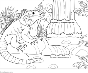 Iguana sitting under a waterfall with splashing water and rocks to colour.