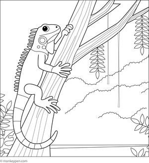 Iguana exploring a dense rainforest filled with plants and vines for colouring.