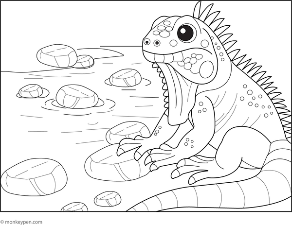 Iguana relaxing beside a flowing river with rocks and plants to colour.