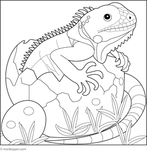 Baby iguana hatching from an egg, surrounded by nest and foliage for colouring