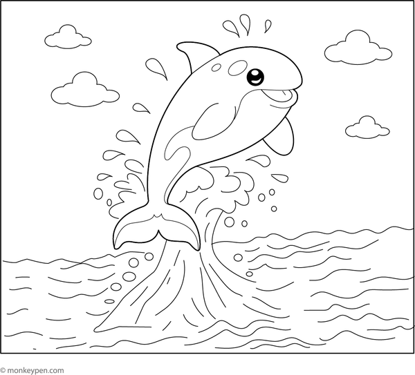  Printable illustration of a killer whale leaping out of the water, suitable for children's coloring activities.