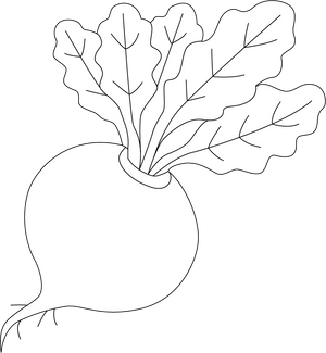 Turnip Coloring Image Coloring Page – fun and educational printable for children