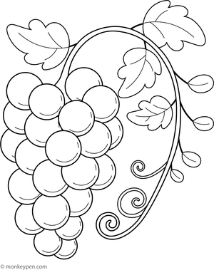 Illustration of a bunch of grapes suitable for children coloring activity