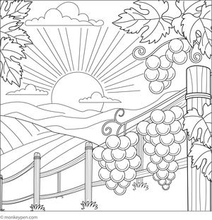 Scene of grapes with a sunset in a vineyard for coloring