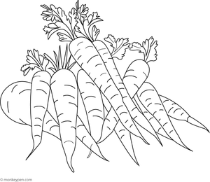 Printable coloring page depicting a bunch of carrots tied together, designed for children to color bright orange vegetables and green foliage.
