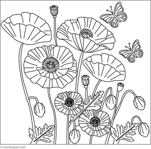 Cute poppy flower colouring page for kids, with clear outlines for colouring and learning about flowers.
