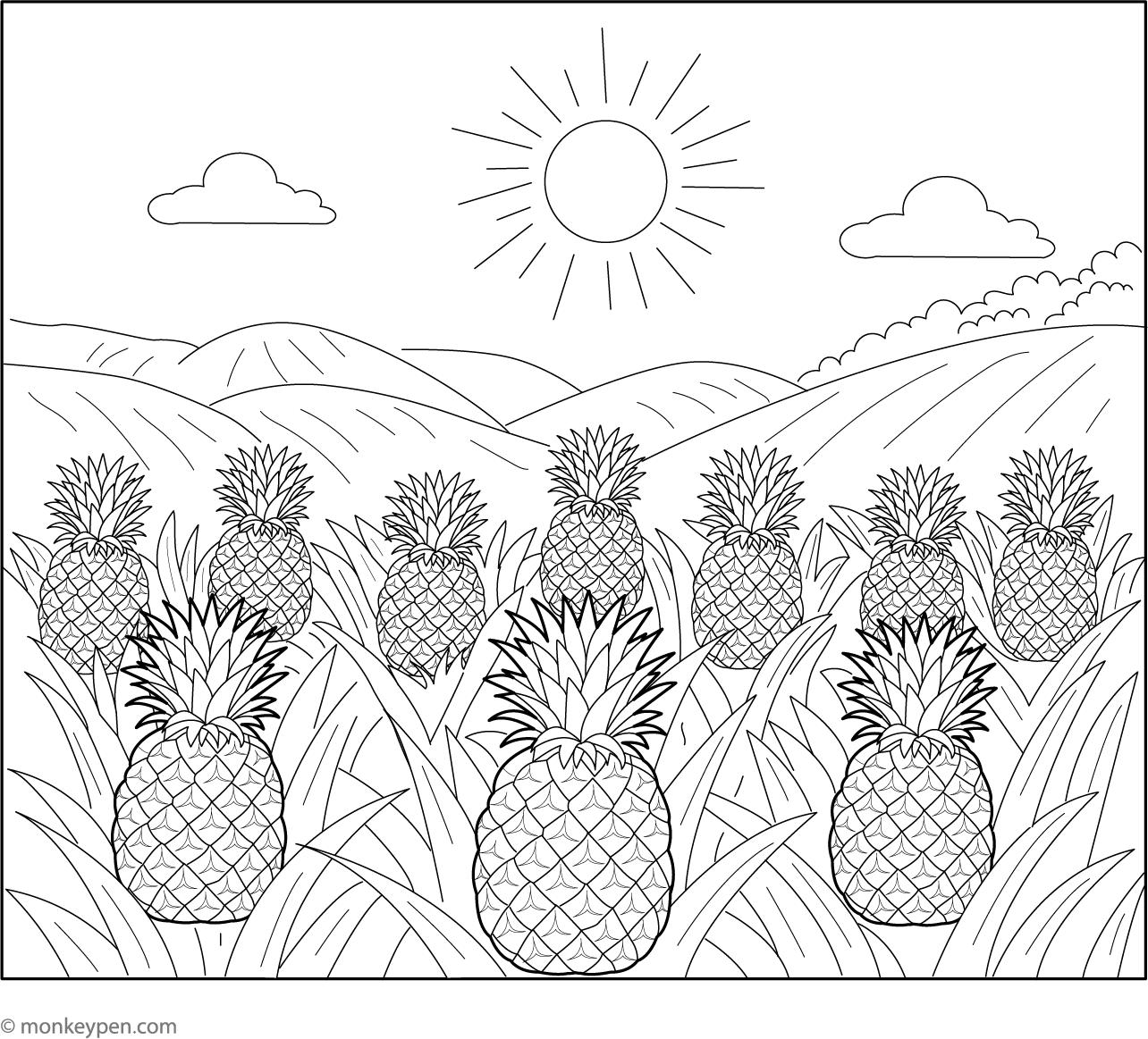 Pineapple Field | Free Coloring Page