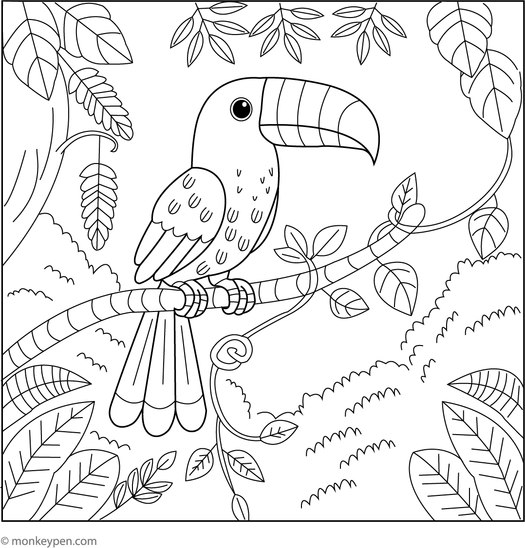 Toucan and Jungle Vines | Free Coloring Page