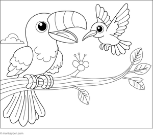  Children's coloring page showing a toucan alongside a small hummingbird, useful for learning about different bird species in jungle environments.