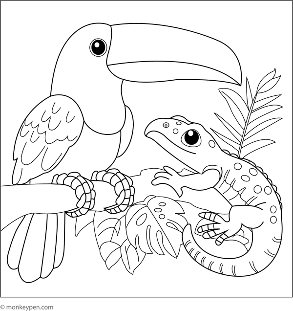 Coloring page featuring a toucan with a small gecko nearby, suitable for discussions about jungle animals and biodiversity.
