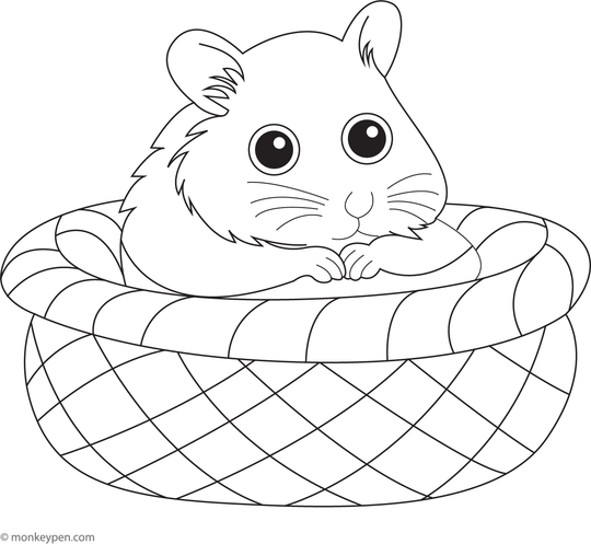 Hamster in a Cozy Nest - Free Coloring Page PDF