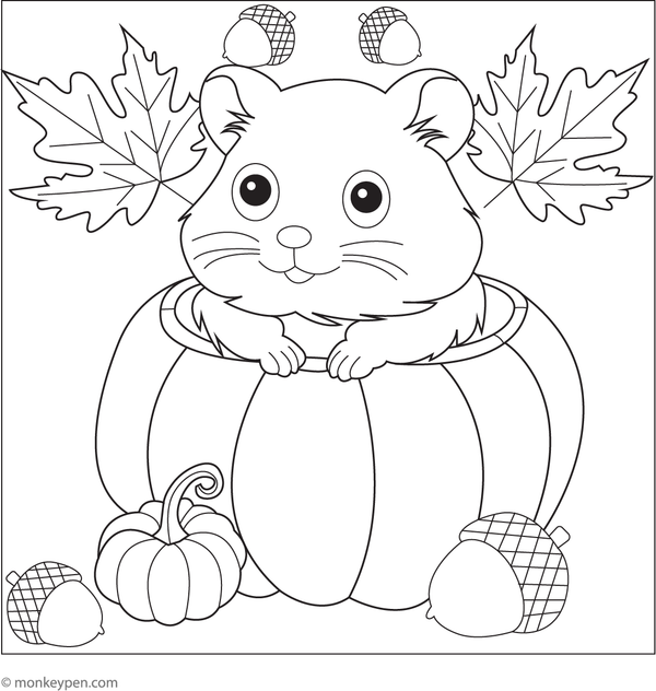 Illustration of a hamster sitting inside a pumpkin, suitable for seasonal or educational content