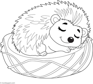 A hedgehog sleeping peacefully in a soft nest, ready for coloring