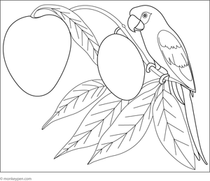  Coloring scene featuring a ripe mango with a colorful parrot perched nearby, set in a tropical environment suitable for children.
